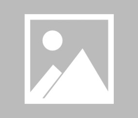 开云体育在线-【夜读】哥们你真努力啊